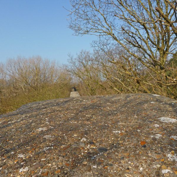 Pan van Persijn (Hollands Duin)